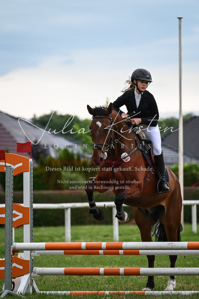 DSC_8492 | Pferde- und Turnierfotografie in Westsachsen. Pferdeportraits, Auftragszeichnungen und intuitive Kunst.