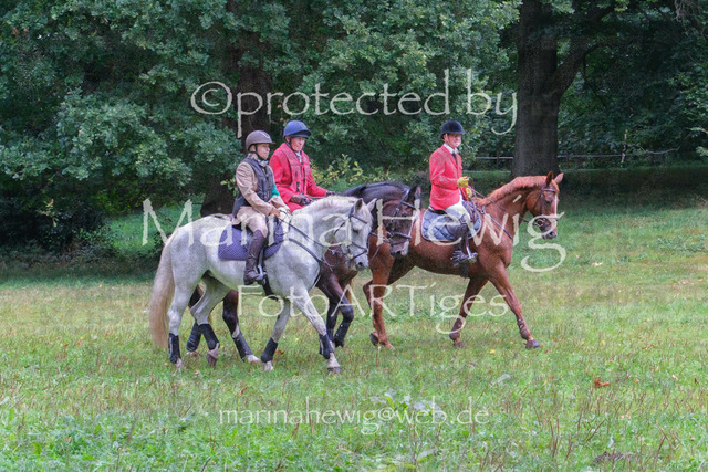 Jagd Perdoel_MarinaHewigDSCF3322 | Fotografie, FotoArt, PferdesportArt, Pferdesportfotografie, Landschaftsfotografie, Reisefotografie, Reise, Pferde - Realisiert mit Pictrs.com