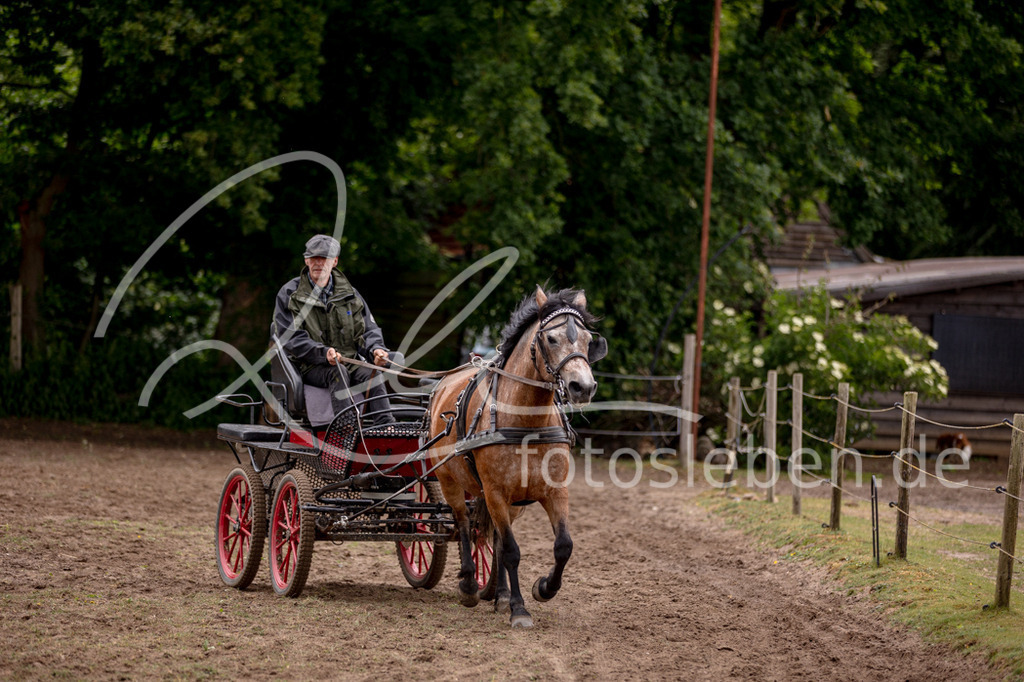 846A0761 | fotosleben - Realisiert mit Pictrs.com