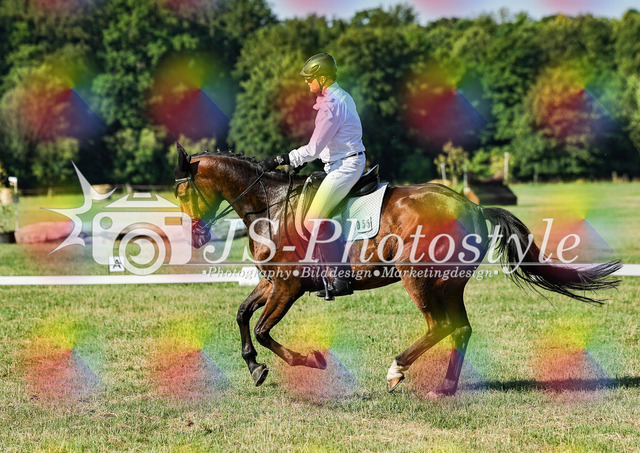 20260628_14a_VA_Dressur-49 | JS-Photostyle - Sport-/Portrait- & Eventfotografie