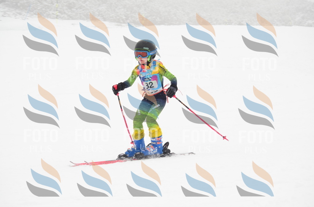 C0773 | holidayphoto