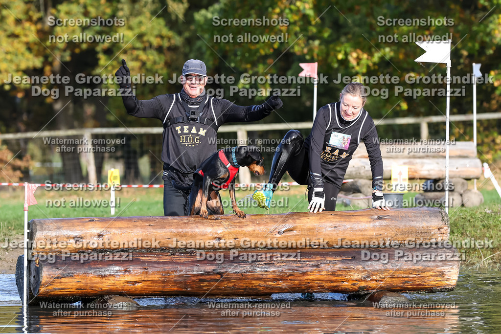 Dog Paparazzi - Strongdog 10-25-8446 | Dog Paparazzi Jeanette Grottendiek Fotografie & Videografie - Realisiert mit Pictrs.com