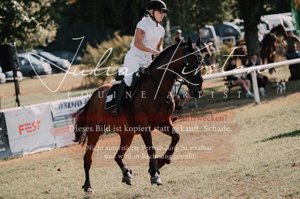 DSC_4616 | Pferde- und Turnierfotografie in Westsachsen. Pferdeportraits, Auftragszeichnungen und intuitive Kunst.
