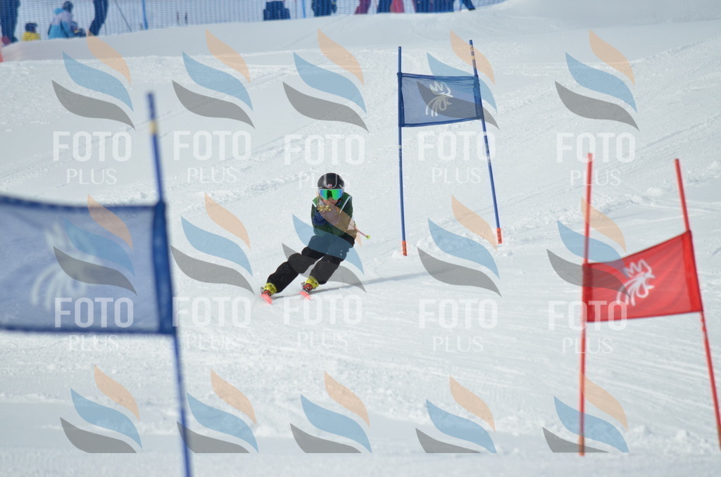 D8709 | holidayphoto