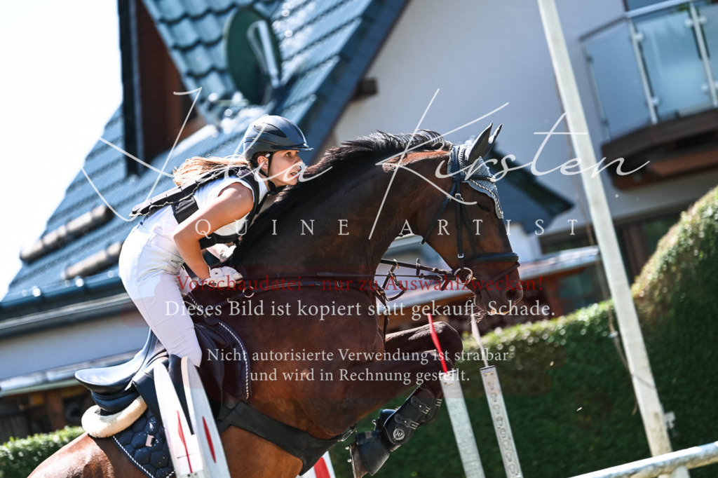 DSC_0245 | Pferde- und Turnierfotografie in Westsachsen. Pferdeportraits, Auftragszeichnungen und intuitive Kunst.