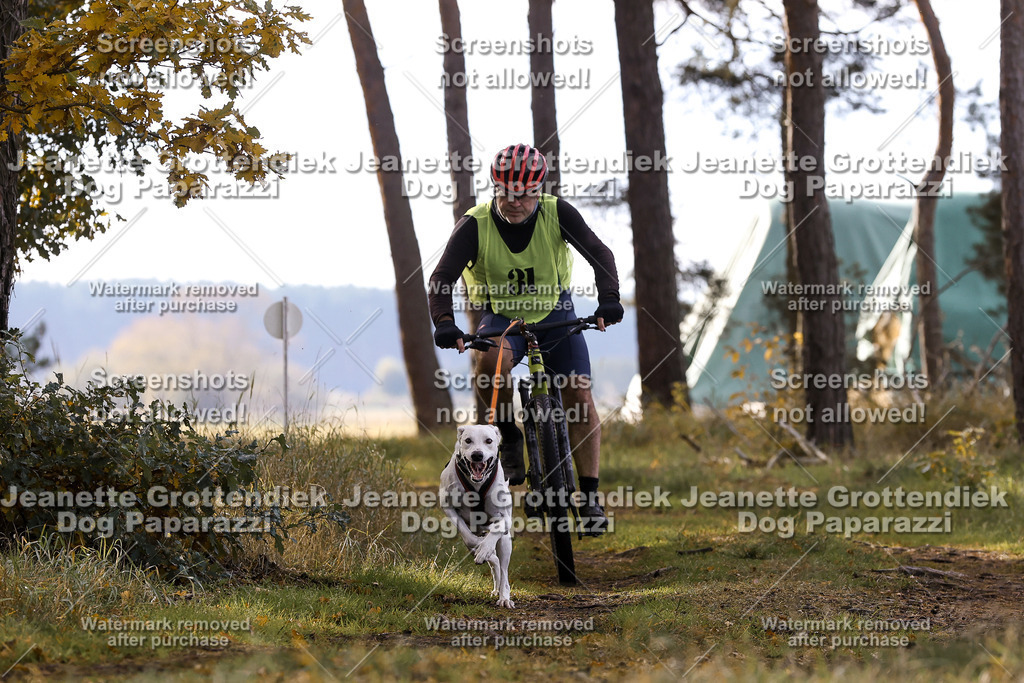 Dog Paparazzi - Elsholz 25 -128 | Dog Paparazzi Jeanette Grottendiek Fotografie & Videografie - Realisiert mit Pictrs.com