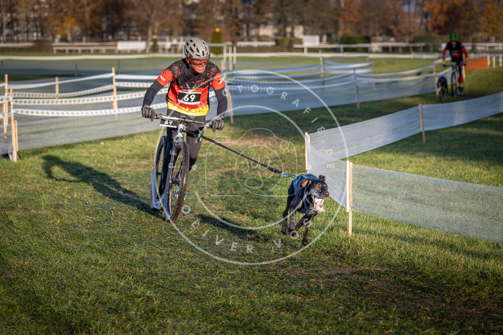 CaniXpix_0L8A3321 | Hundefotografie, Tierfotograf, Pfotenfotografie, Fotoshooting Hund, Hunde Portrait, Hundesport, Hundeportraits, Heideshooting, Hunde, Sportfotograf, Hundefotograf, Turnierhundsport, THS,  - Realisiert mit Pictrs.com