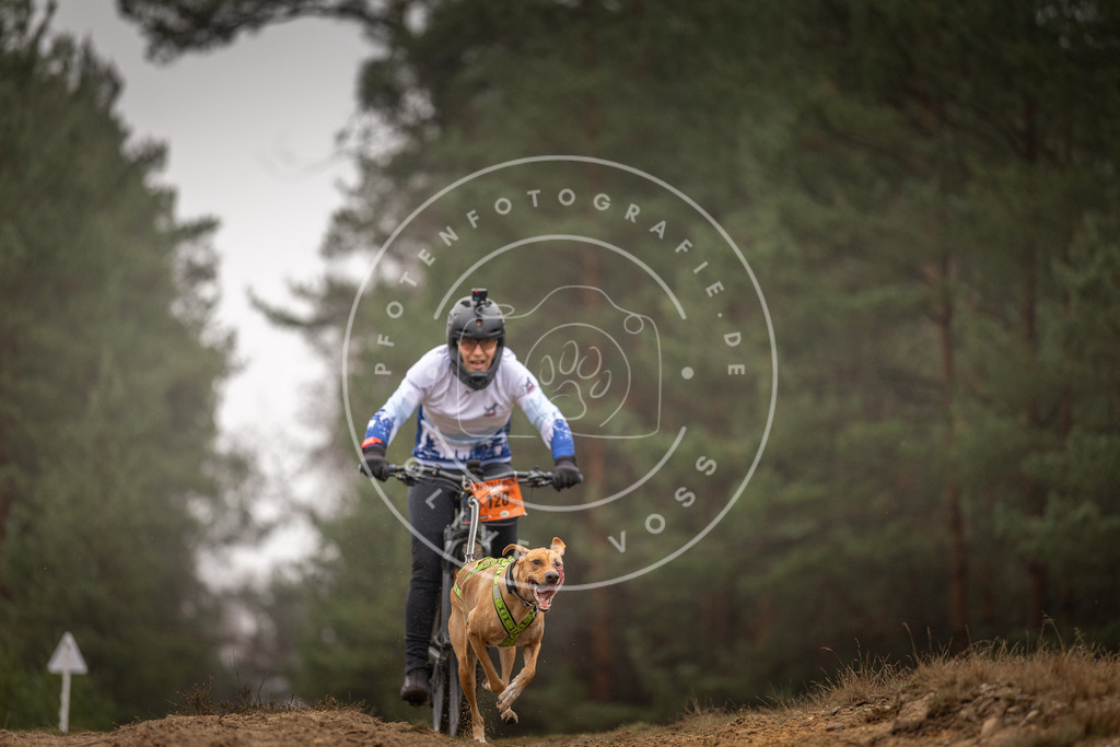 Pfotenfotografie_DV3A3481 | Hundefotografie, Tierfotograf, Pfotenfotografie, Fotoshooting Hund, Hunde Portrait, Hundesport, Hundeportraits, Heideshooting, Hunde, Sportfotograf, Hundefotograf, Turnierhundsport, THS,  - Realisiert mit Pictrs.com