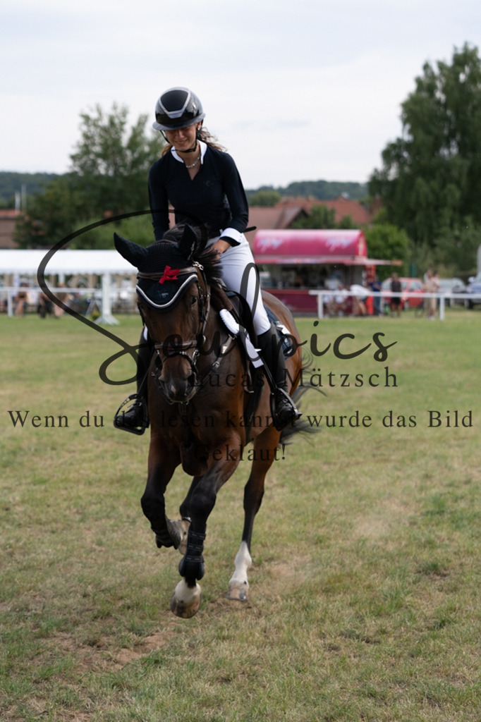 A7V03022 | Pferdefotograf