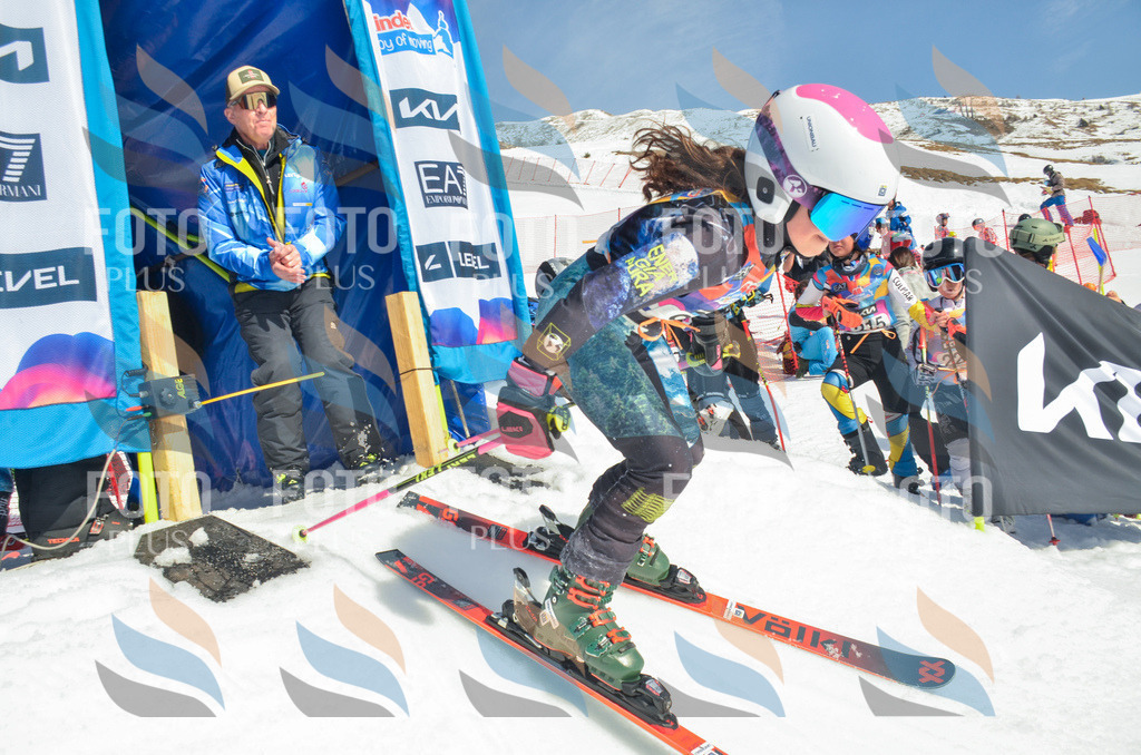 _ELE5725 | holidayphoto