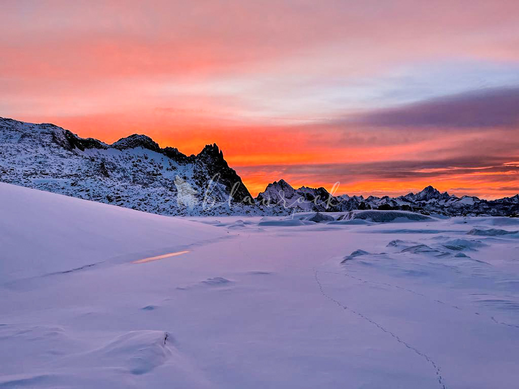 1000009273 | Sportbilder, Sportfotograf, Hochzeits- und Eventfotografin, Flugshows, Portraits und Tiershooting, Aviation, Downhill, Nationalleague, Swissleague, International