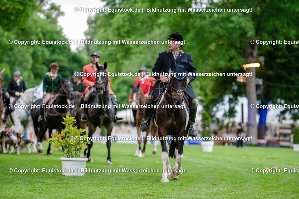 20250606_Lange-Pferdenacht_0517 | Foto: Thomas Hartig
