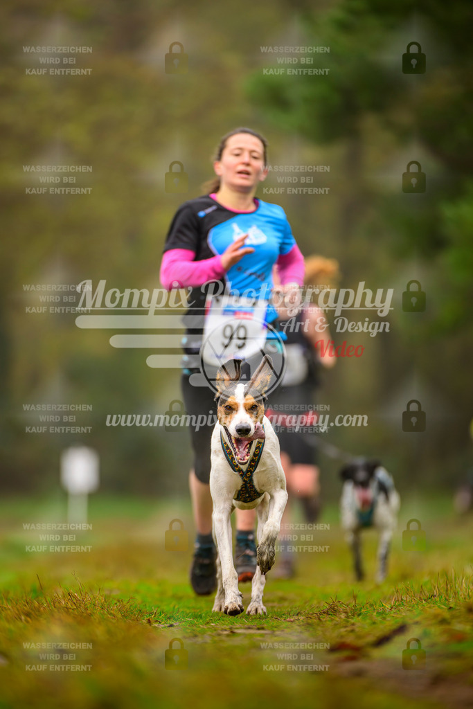 MompixPhotography_Bischwiller2025_Canicross-22 | mompixphotography