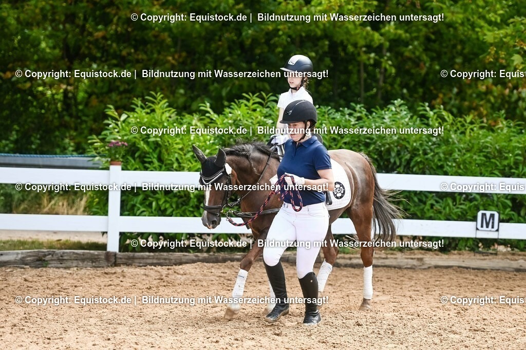 20230716_11_Führzügel-WB_0209 | equistock