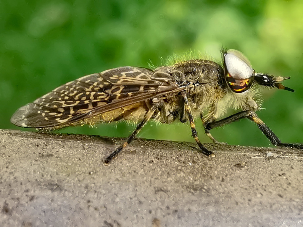 PSX_20230823_225325 | mtkfoto_ - Realisiert mit Pictrs.com