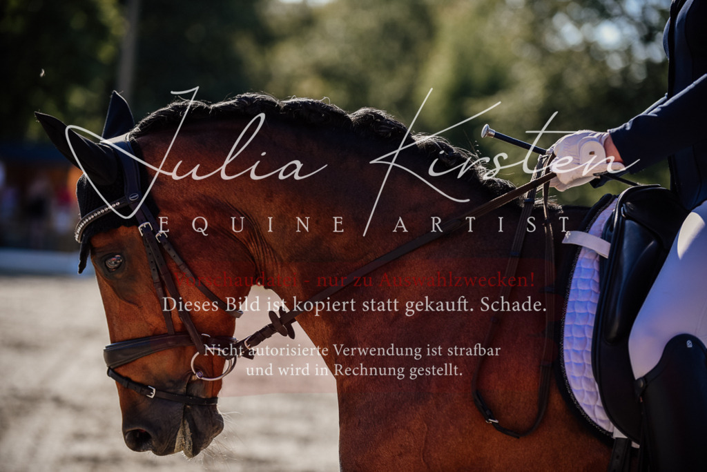 DSC_0396 | Pferde- und Turnierfotografie in Westsachsen. Pferdeportraits, Auftragszeichnungen und intuitive Kunst.