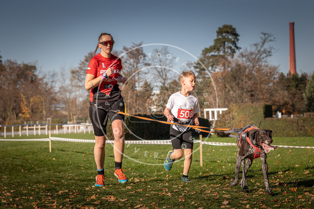 CaniXpix_0L8A6886 | Hundefotografie, Tierfotograf, Pfotenfotografie, Fotoshooting Hund, Hunde Portrait, Hundesport, Hundeportraits, Heideshooting, Hunde, Sportfotograf, Hundefotograf, Turnierhundsport, THS,  - Realisiert mit Pictrs.com