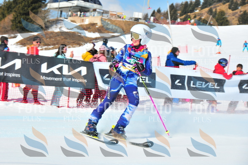 DSC_1049 | holidayphoto