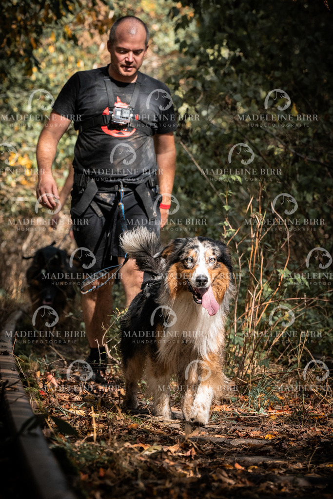 madeleinebirr.fotografie.2026.cc.hunsrueck.12-13Uhr.281 | hundefotografie-birr