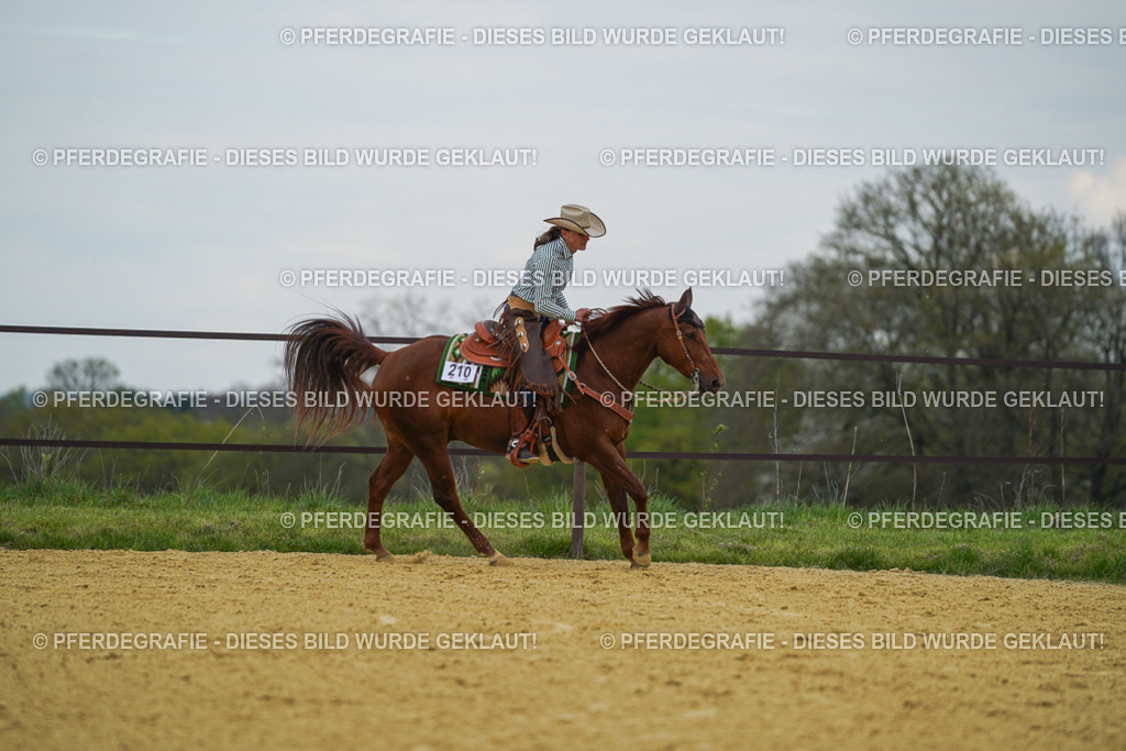 DSC06913 | Pferdegrafie