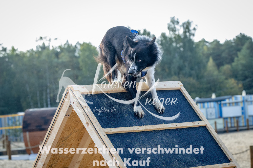 0940_ZZ92635 | kk-dogfotos