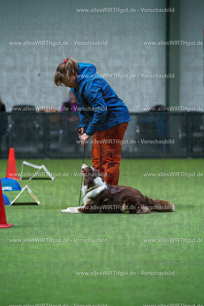 7R502901 | Professionelle Tierfotografie in Mönchengladbach von Daniel Wirth (allesWIRTHgut). Liebevolle & natürliche Bilder von Hunden & Katzen für unvergessliche Erinnerungen.