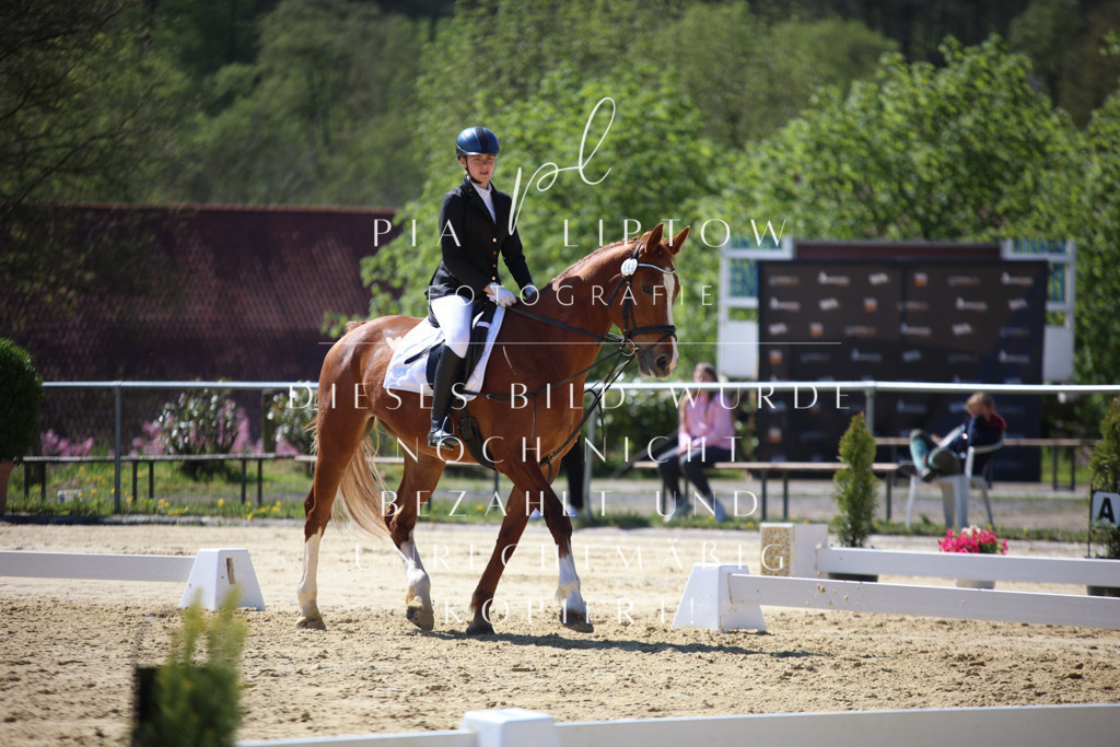 IMGT0262 | pl-fotografie