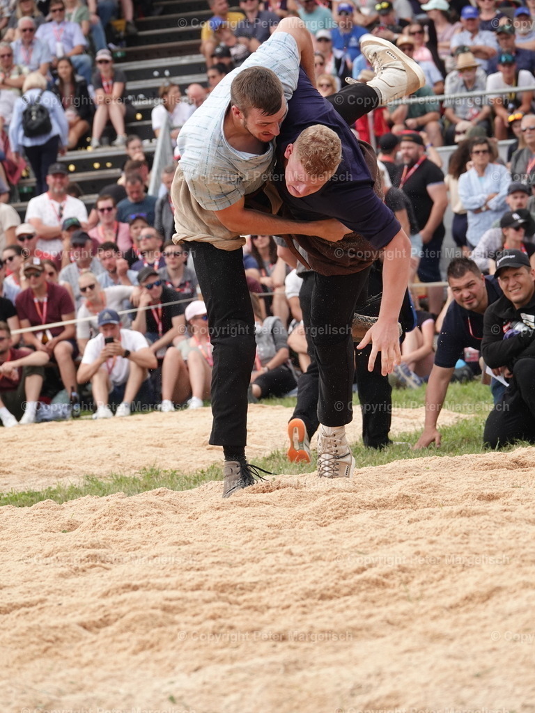 DSC05060 | Schwingen - Realisiert mit Pictrs.com