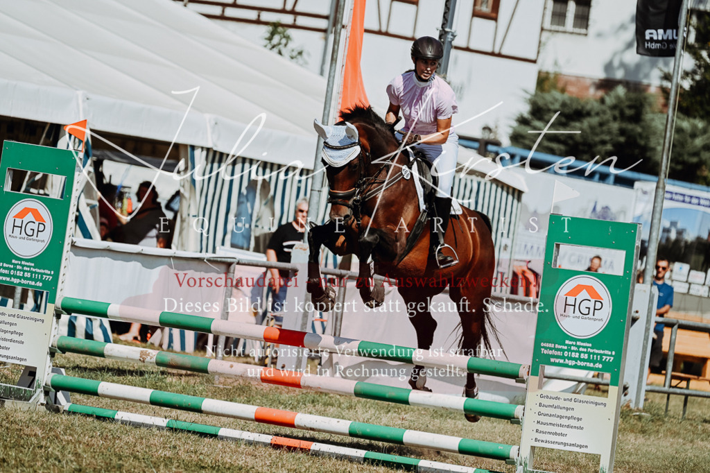 DSC_9741 | Pferde- und Turnierfotografie in Westsachsen. Pferdeportraits, Auftragszeichnungen und intuitive Kunst.