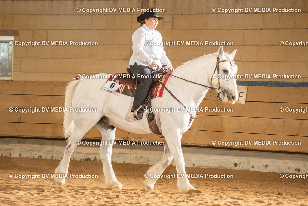 NID02771 | dv-media-shop - Realisiert mit Pictrs.com