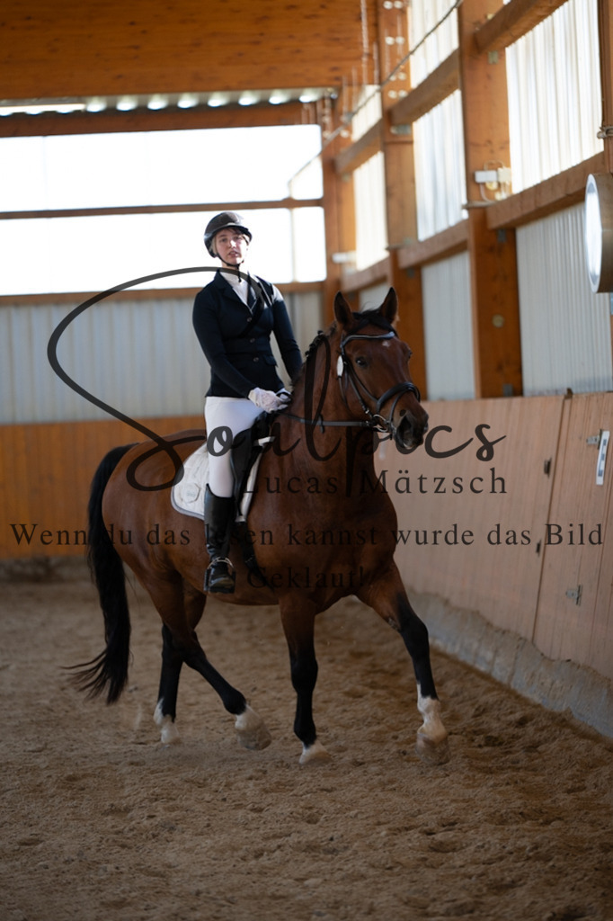 A7V01773 | Pferdefotograf