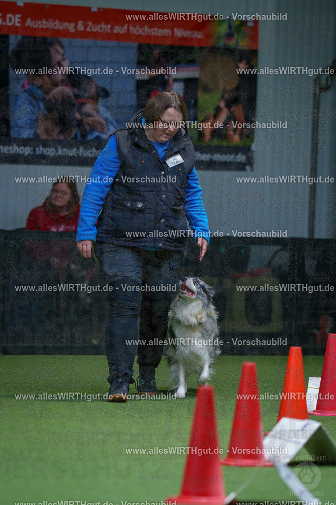 7R506274 | Professionelle Tierfotografie in Mönchengladbach von Daniel Wirth (allesWIRTHgut). Liebevolle & natürliche Bilder von Hunden & Katzen für unvergessliche Erinnerungen.