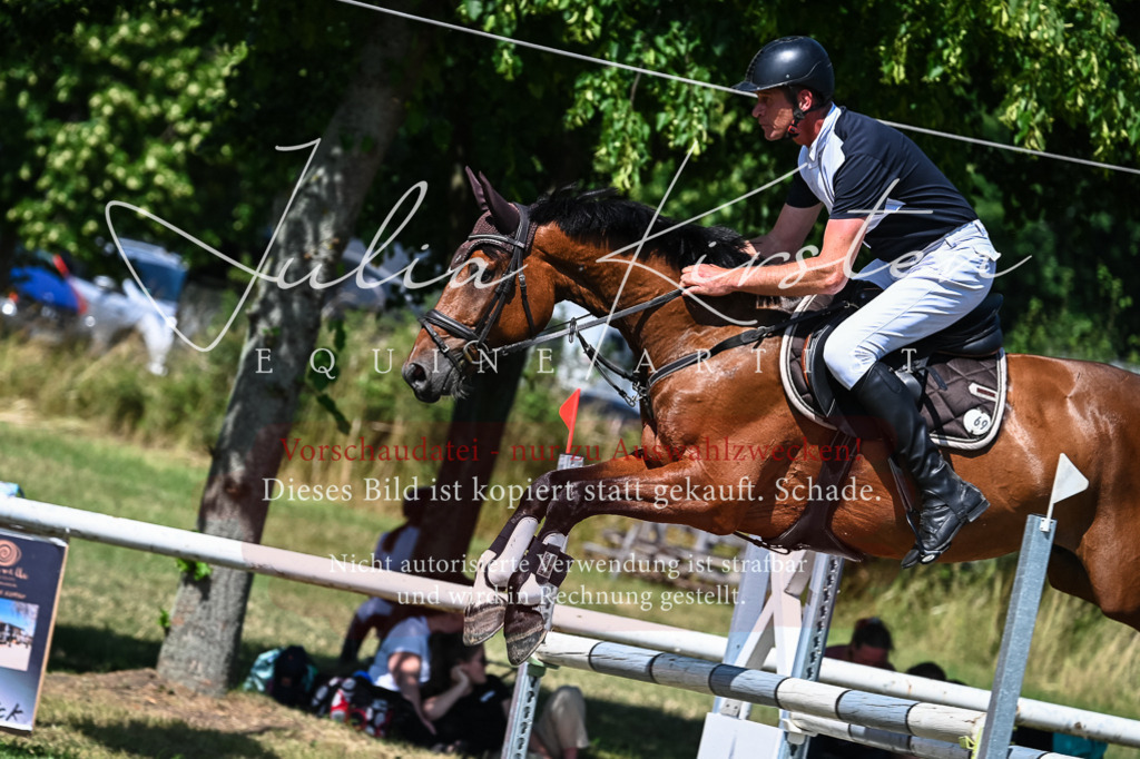DSC_1293 | Pferde- und Turnierfotografie in Westsachsen. Pferdeportraits, Auftragszeichnungen und intuitive Kunst.