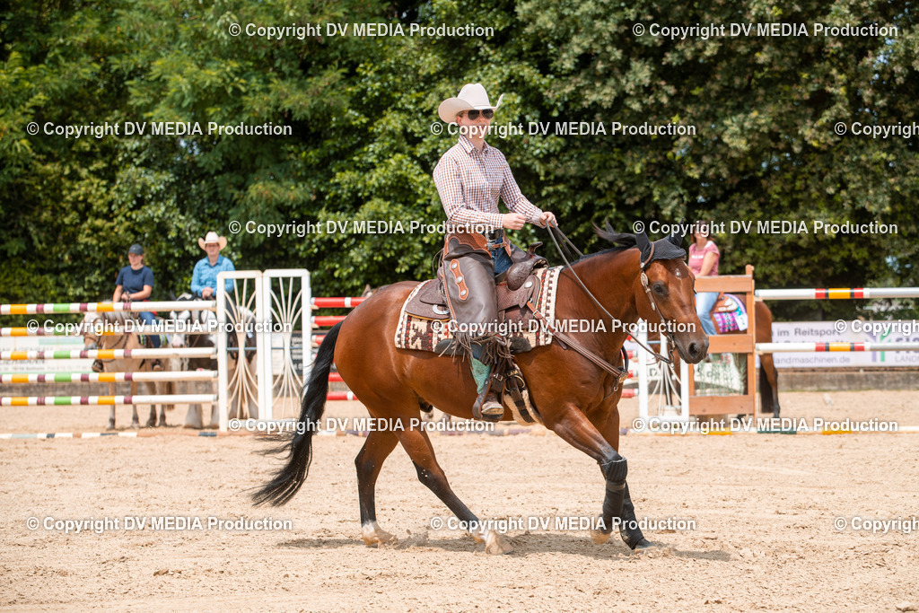 EWP_6337 | dv-media-shop - Realisiert mit Pictrs.com