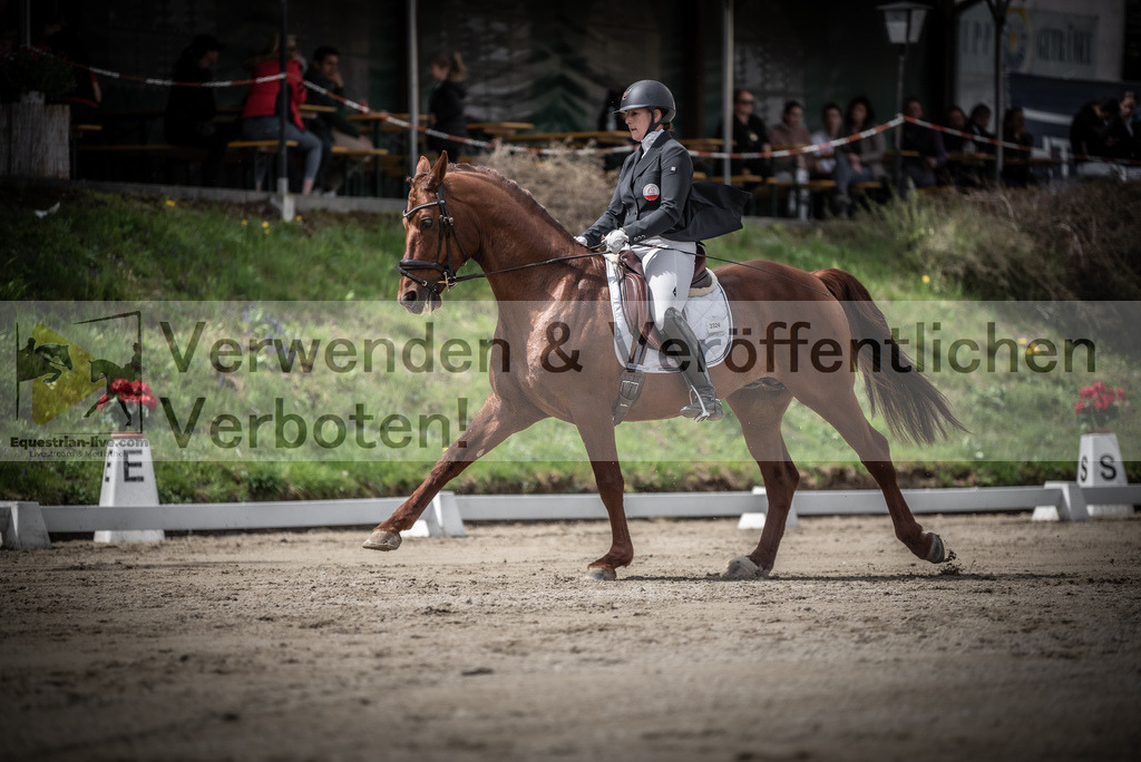 DSC_2629 | equestrian-live-com