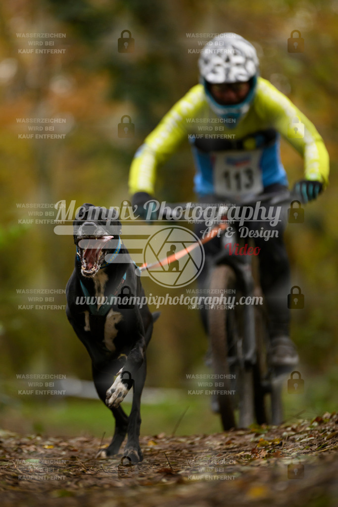 MompixPhotography_Bischwiller24_SA_VTT-70 | PayLife