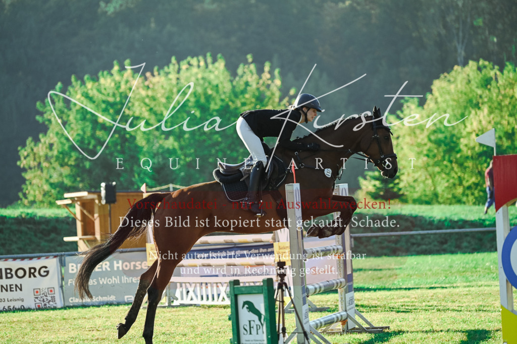 DSC_4297 | Pferde- und Turnierfotografie in Westsachsen. Pferdeportraits, Auftragszeichnungen und intuitive Kunst.