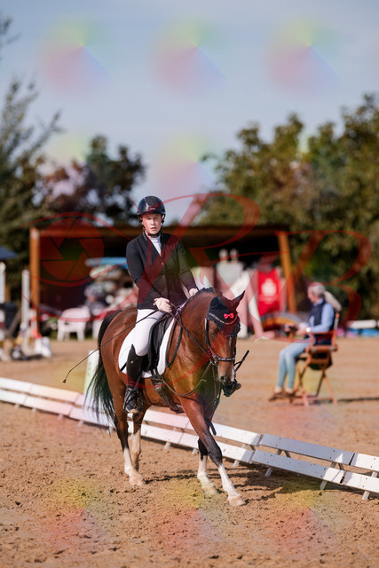 2026_10_03_Siefer-Hof_115753_Z81_99432085 | Professionelle Reitsport-, Turnier- und Eventfotografie von Robert Broda. Galerien mit ausgewählten und bearbeiteten Bildern direkt online ansehen und bestellen.