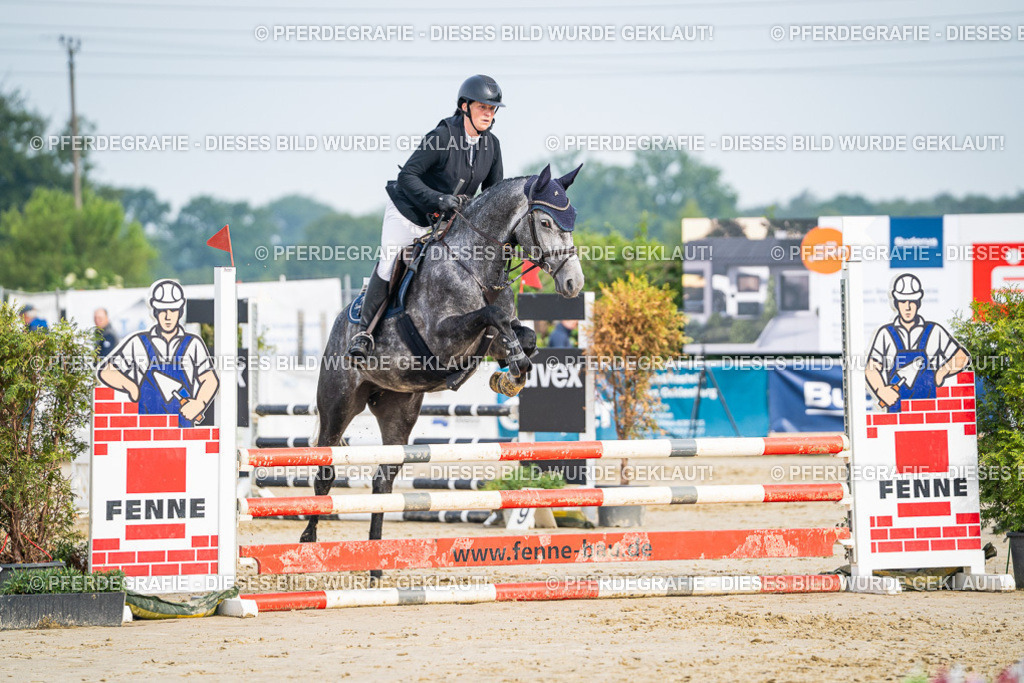 DSC08890 | Pferdegrafie