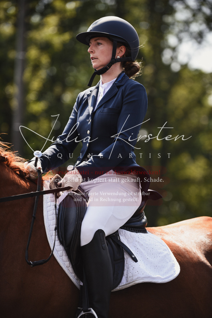 DSC_4127 | Pferde- und Turnierfotografie in Westsachsen. Pferdeportraits, Auftragszeichnungen und intuitive Kunst.