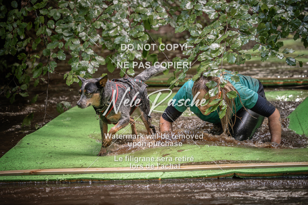 nelerasche_Wingst_Sa1330-1400_256 | nelerasche