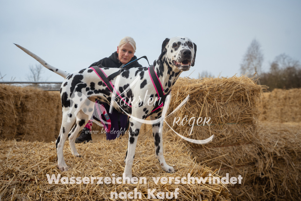 1007_ZZ92395 | kk-dogfotos