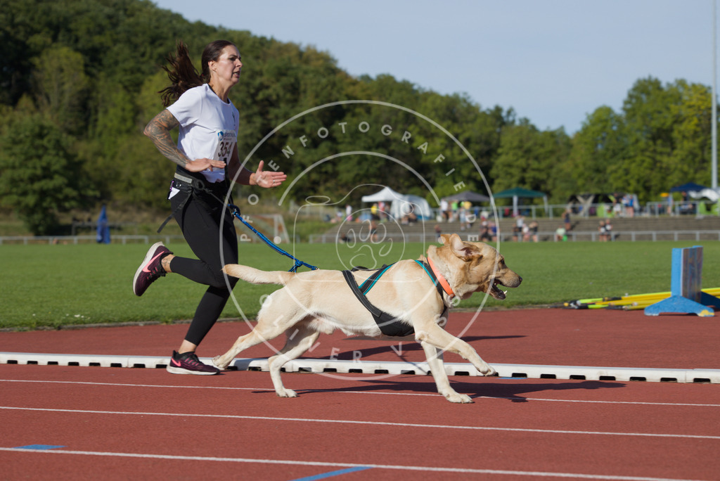 0L8A0068 | Hundefotografie, Tierfotograf, Pfotenfotografie, Fotoshooting Hund, Hunde Portrait, Hundesport, Hundeportraits, Heideshooting, Hunde, Sportfotograf, Hundefotograf, Turnierhundsport, THS,  - Realisiert mit Pictrs.com