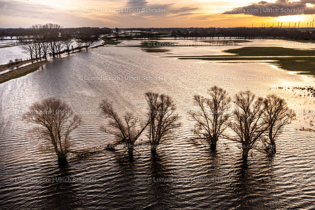 10049-51821 - Hochwasser im Großen Bruch | Stockfoto und Bilderpool mit Bildmaterial aus Deutschland, dem Harz, Halberstadt, Quedlinburg, Wernigerode und weltweit. Qualitativ hochwertige und professionelle Fotos anschauen und kaufen. - Realisiert mit Pictrs.com