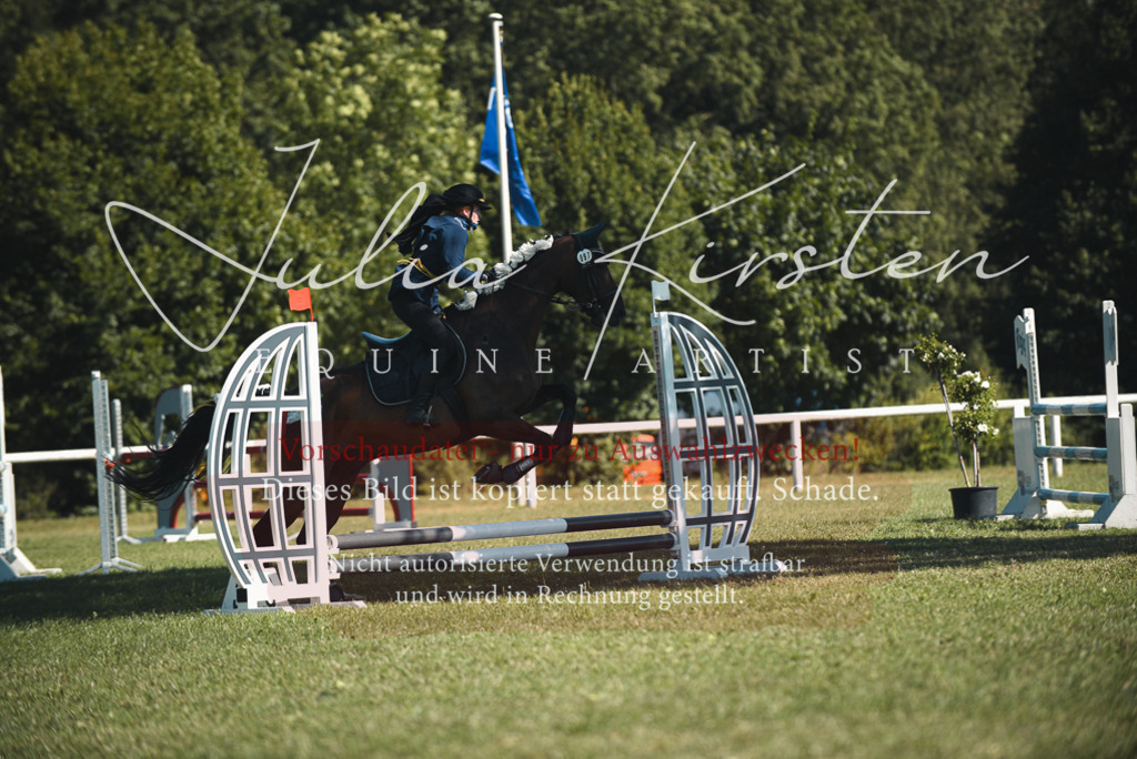 DSC_7583 | Pferde- und Turnierfotografie in Westsachsen. Pferdeportraits, Auftragszeichnungen und intuitive Kunst.