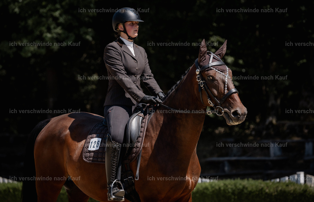 WE_DR_126_SinaFilmArt_IN03618 | working equitationturnier fotograf videograf stoibphotography marixx film working equitation deutschland reitsport turnierfotografie eventfotografie equestrian events