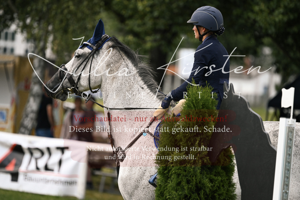 DSC_0924 | Pferde- und Turnierfotografie in Westsachsen. Pferdeportraits, Auftragszeichnungen und intuitive Kunst.