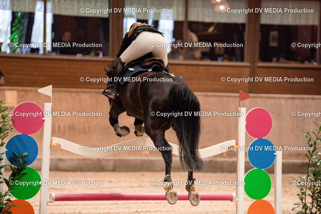 Springen Tag 2-657 | dv-media-shop - Realisiert mit Pictrs.com