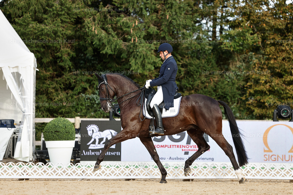 13-058-S___ -StoibPH-7008 | working equitationturnier fotograf videograf stoibphotography marixx film working equitation deutschland reitsport turnierfotografie eventfotografie equestrian events