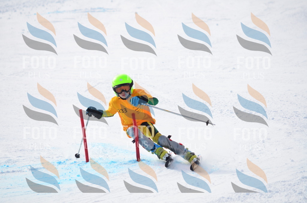 C8324 | holidayphoto